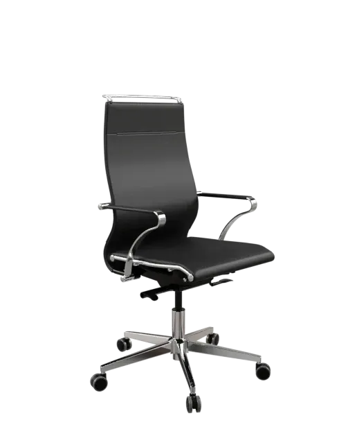 SynchroSit Well B2-195K - Infinity /Ach246/Nc200/K15cL(M24.B22.G18.W03)
